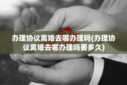 办理协议离婚去哪办理吗(办理协议离婚去哪办理吗要多久)