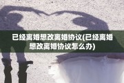 已经离婚想改离婚协议(已经离婚想改离婚协议怎么办)