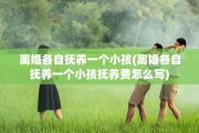 离婚各自抚养一个小孩(离婚各自抚养一个小孩抚养费怎么写)