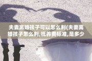 夫妻离婚孩子可以怎么判(夫妻离婚孩子怎么判,抚养费标准,是多少?)