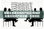 婚姻法夫妻共同财产规定(婚姻法夫妻共同财产规定哪一年修改的)
