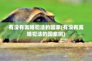 有没有离婚犯法的国家(有没有离婚犯法的国家啊)