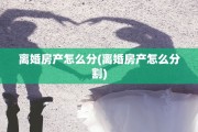 离婚房产怎么分(离婚房产怎么分割)