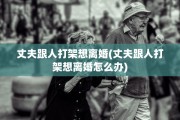 丈夫跟人打架想离婚(丈夫跟人打架想离婚怎么办)
