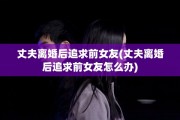 丈夫离婚后追求前女友(丈夫离婚后追求前女友怎么办)