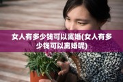 女人有多少钱可以离婚(女人有多少钱可以离婚呢)