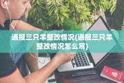 通报三只羊整改情况(通报三只羊整改情况怎么写)