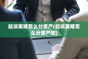 起诉离婚怎么分家产(起诉离婚怎么分家产呢)