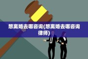 想离婚去哪咨询(想离婚去哪咨询律师)