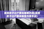 离婚房子过户要去哪里办理(离婚房子过户要去哪里办理手续)