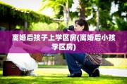 离婚后孩子上学区房(离婚后小孩学区房)