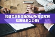 领证买房就离婚怎么办(领证买房就离婚怎么办理)
