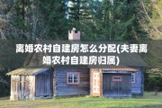 离婚农村自建房怎么分配(夫妻离婚农村自建房归属)