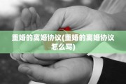 重婚的离婚协议(重婚的离婚协议怎么写)