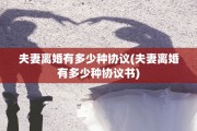 夫妻离婚有多少种协议(夫妻离婚有多少种协议书)