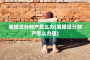 离婚没分财产怎么办(离婚没分财产怎么办理)