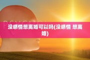 没感情想离婚可以吗(没感情 想离婚)
