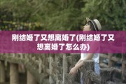刚结婚了又想离婚了(刚结婚了又想离婚了怎么办)