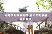 老年夫妇家暴离婚(老年夫妇家暴离婚案例)