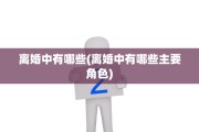 离婚中有哪些(离婚中有哪些主要角色)