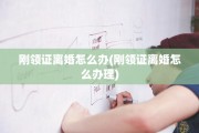 刚领证离婚怎么办(刚领证离婚怎么办理)