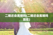 二婚还会离婚吗(二婚还会离婚吗现在)