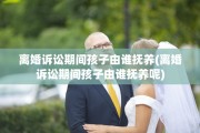 离婚诉讼期间孩子由谁抚养(离婚诉讼期间孩子由谁抚养呢)