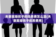 夫妻离婚孩子的抚养费怎么算(夫妻离婚孩子抚养费用)