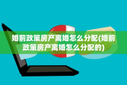 婚前政策房产离婚怎么分配(婚前政策房产离婚怎么分配的)
