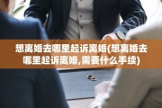 想离婚去哪里起诉离婚(想离婚去哪里起诉离婚,需要什么手续)