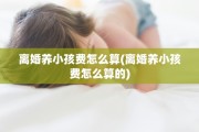 离婚养小孩费怎么算(离婚养小孩费怎么算的)