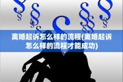 离婚起诉怎么样的流程(离婚起诉怎么样的流程才能成功)
