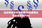 起诉离婚法院会调查(起诉离婚法院会调查财产吗)