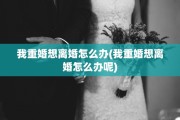 我重婚想离婚怎么办(我重婚想离婚怎么办呢)