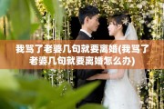 我骂了老婆几句就要离婚(我骂了老婆几句就要离婚怎么办)