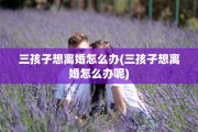 三孩子想离婚怎么办(三孩子想离婚怎么办呢)