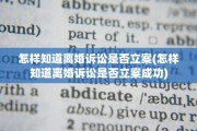 怎样知道离婚诉讼是否立案(怎样知道离婚诉讼是否立案成功)