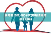 离婚的法律分配子女(婚姻法离婚孩子归谁)
