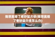 我想离婚了老吵架欠债(我想离婚了老吵架欠债怎么办)