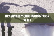 国外离婚房产(国外离婚房产怎么分割)