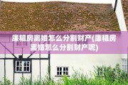 廉租房离婚怎么分割财产(廉租房离婚怎么分割财产呢)