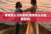 离婚怎么分抚养权(离婚怎么分抚养权的)
