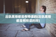出轨离婚都是有预谋的(出轨离婚都是有预谋的吗)
