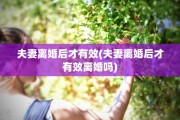 夫妻离婚后才有效(夫妻离婚后才有效离婚吗)