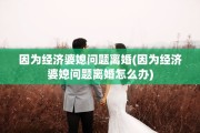 因为经济婆媳问题离婚(因为经济婆媳问题离婚怎么办)