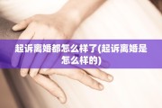 起诉离婚都怎么样了(起诉离婚是怎么样的)