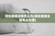现在离婚法院怎么办(现在离婚法院怎么办理)