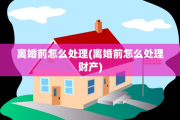 离婚前怎么处理(离婚前怎么处理财产)