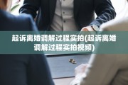起诉离婚调解过程实拍(起诉离婚调解过程实拍视频)