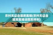 农村无证自建房离婚(农村无证自建房离婚法院怎样判)